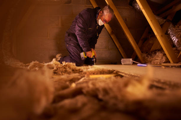 Best Attic Insulation Installation  in Cactus, TX